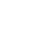 shopify logo white